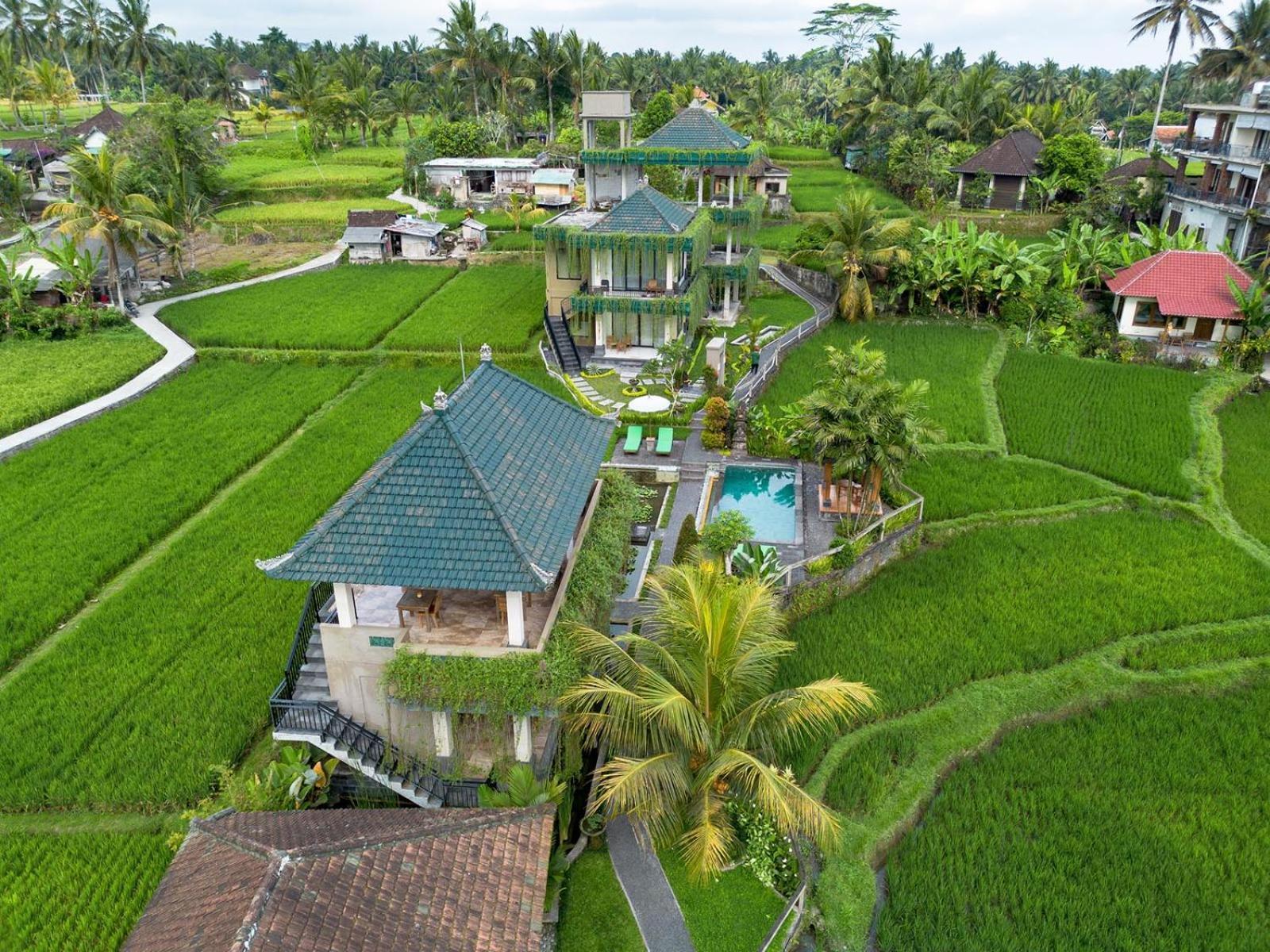 Cahaya Ubud Villa Extérieur photo