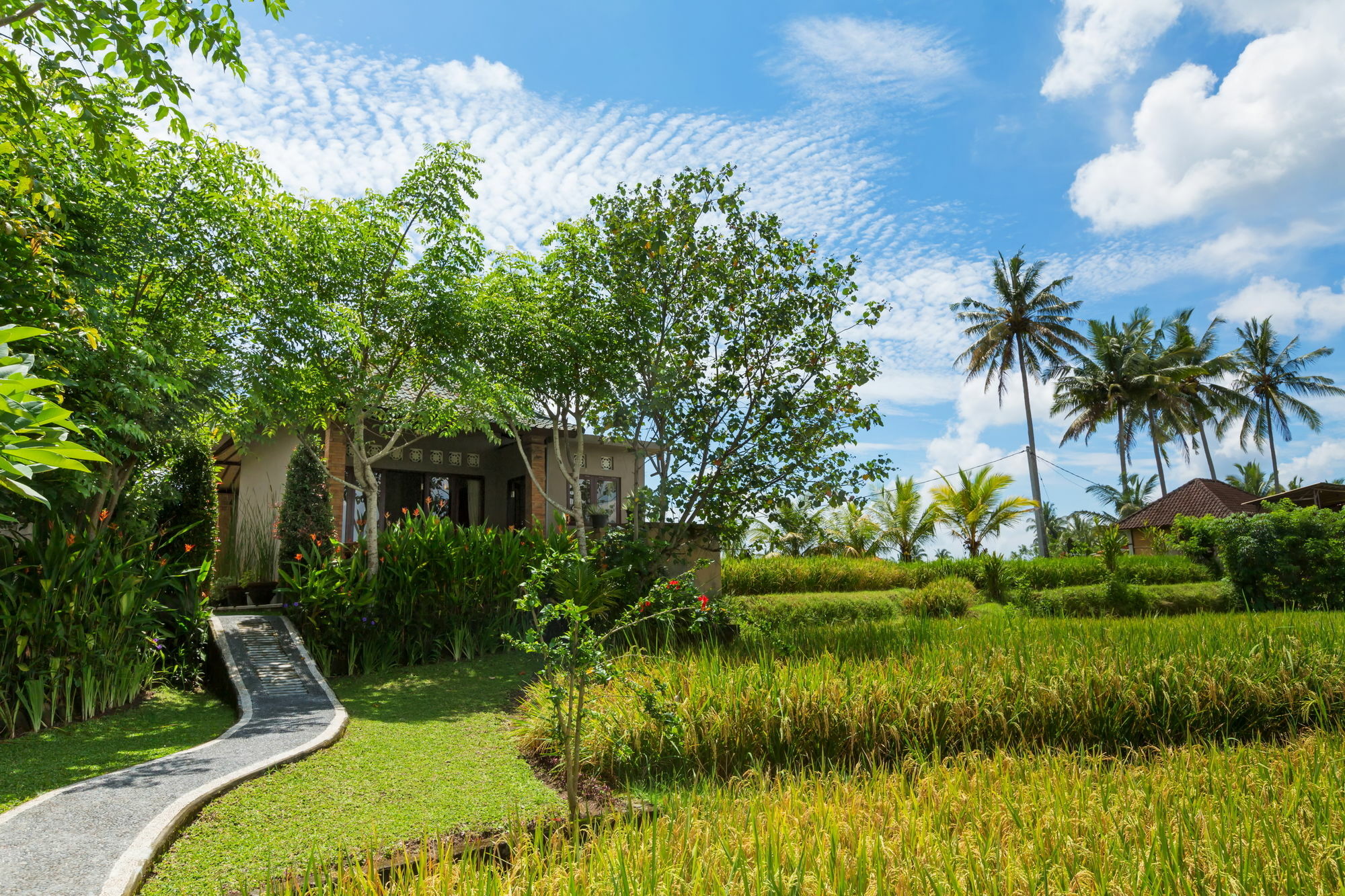 Cahaya Ubud Villa Extérieur photo