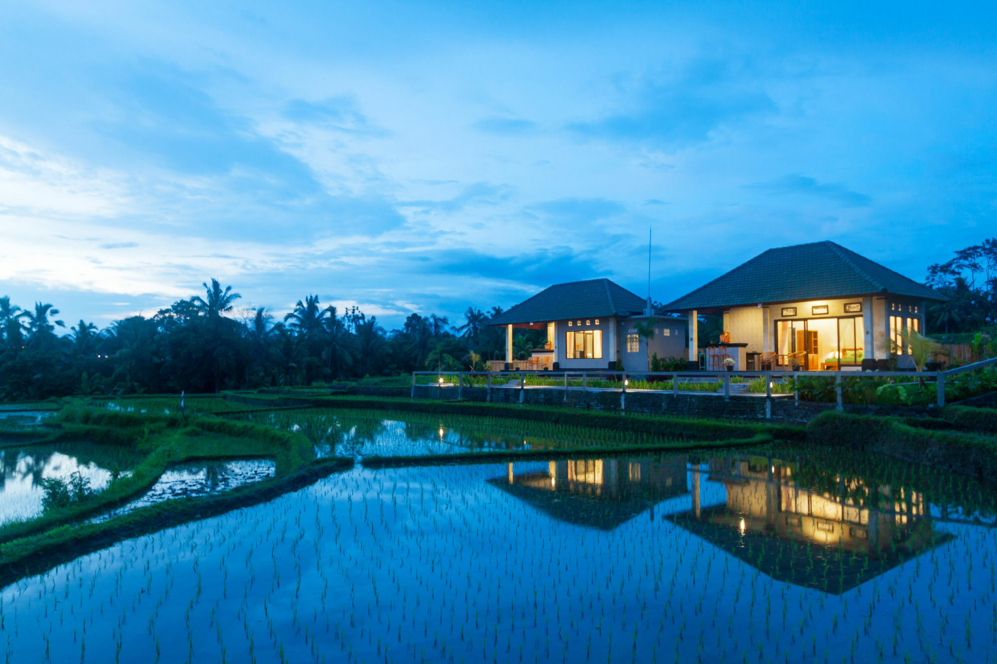 Cahaya Ubud Villa Extérieur photo