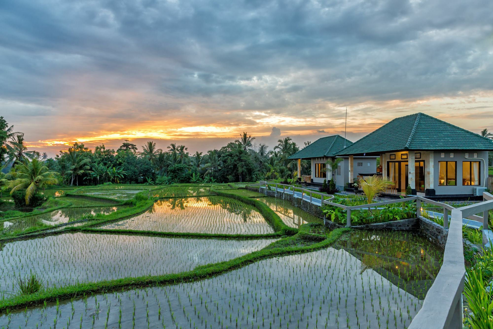 Cahaya Ubud Villa Extérieur photo